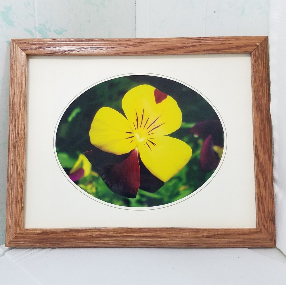 Framed Flower Wall Art (Purple)